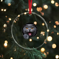Cute British Shorthair Cat Peeking Through Cracked Wall Crystal Glass Ornament