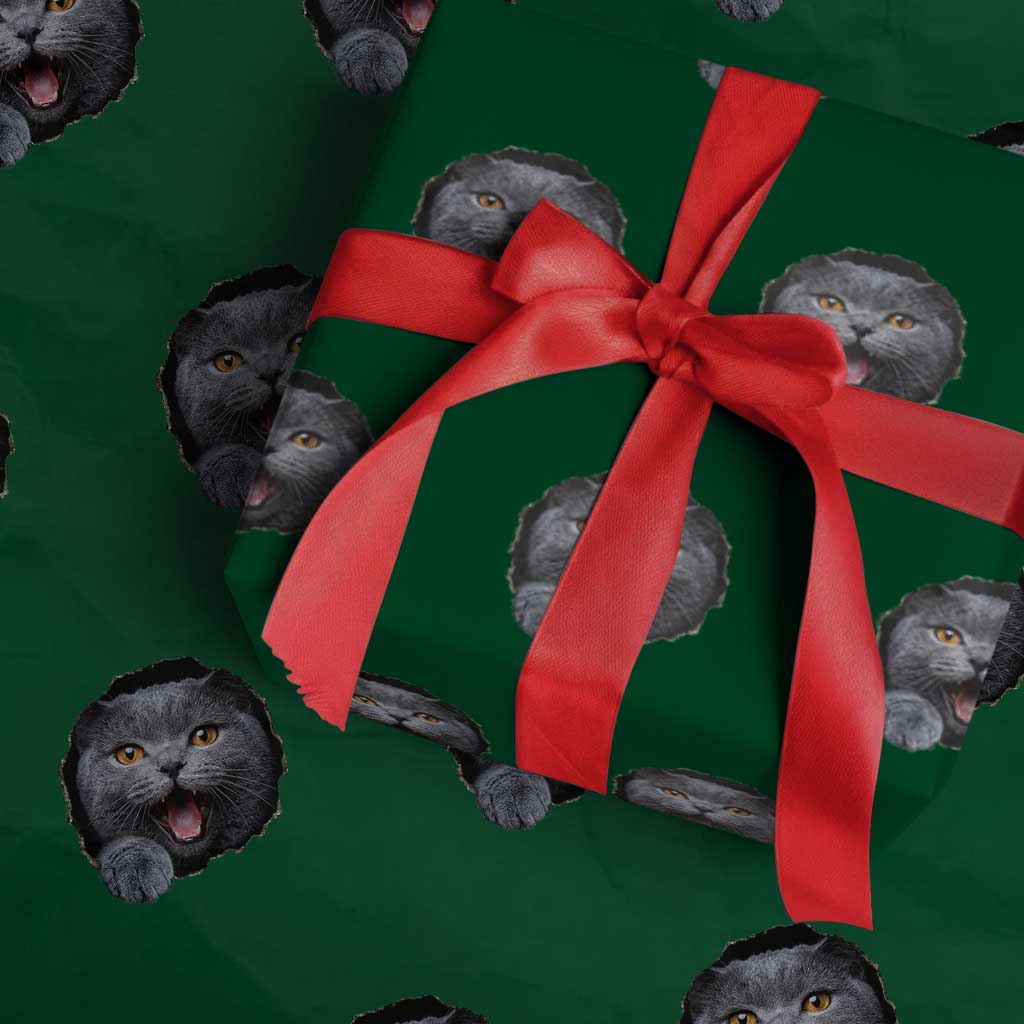 Cute British Shorthair Cat Peeking Through Cracked Wall Wrapping Paper Roll