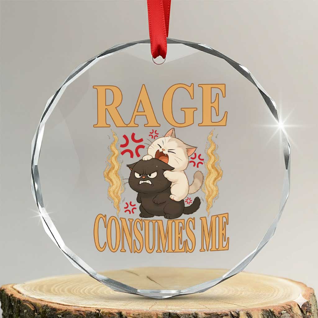 Cute Cat Crystal Glass Ornament Rage Is Consuming Me TS12