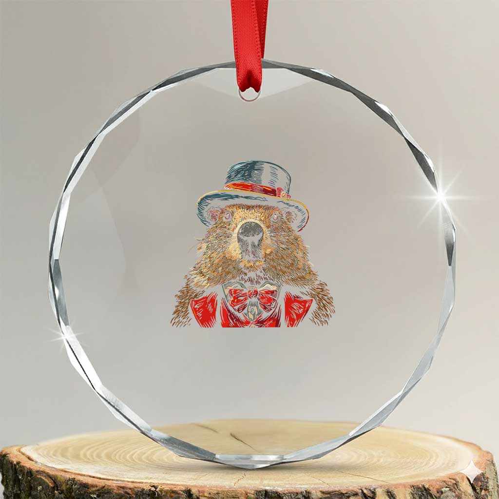 Cute Groundhog Crystal Glass Ornament Woodchuck Day Animal Lover TS02