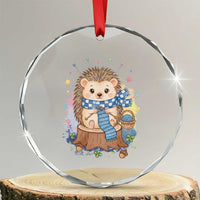 Cute Hedgehog Knitting Crystal Glass Ornament Gift For Crocheter TS12