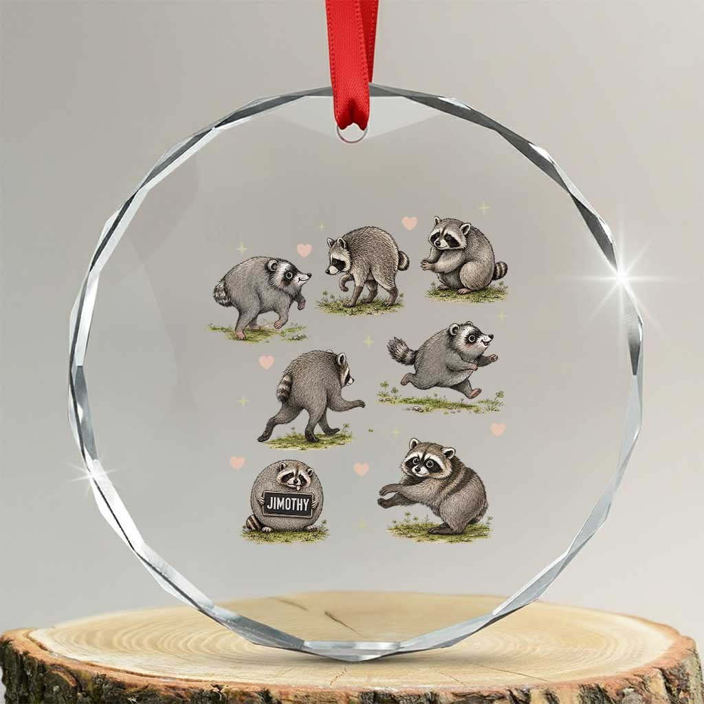 Cute Jimothy The Raccoon Crystal Glass Ornament Viral Seattle Wildlife Trash Panda Gift