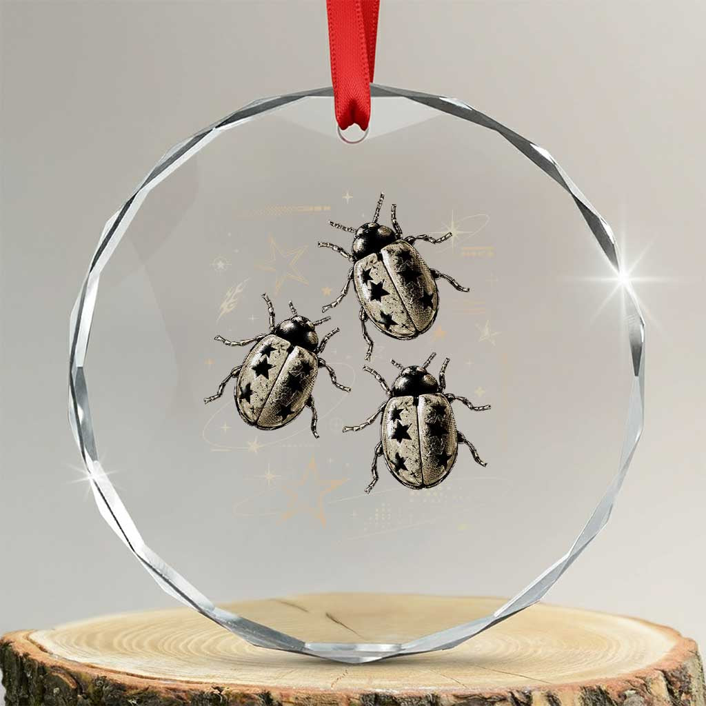 Cute Ladybug Y2k Grunge 2000s Alt 90s Vintage Star Dots Teen Crystal Glass Ornament
