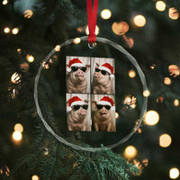 Cute Pig Christmas Selfie Crystal Glass Ornament Funny Holiday Photobooth Gift - Wonder Print Shop