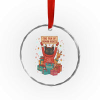 Cute Santa Cat Big Fan Of Human Rights Crystal Glass Ornament Christmas Supporters - Wonder Print Shop
