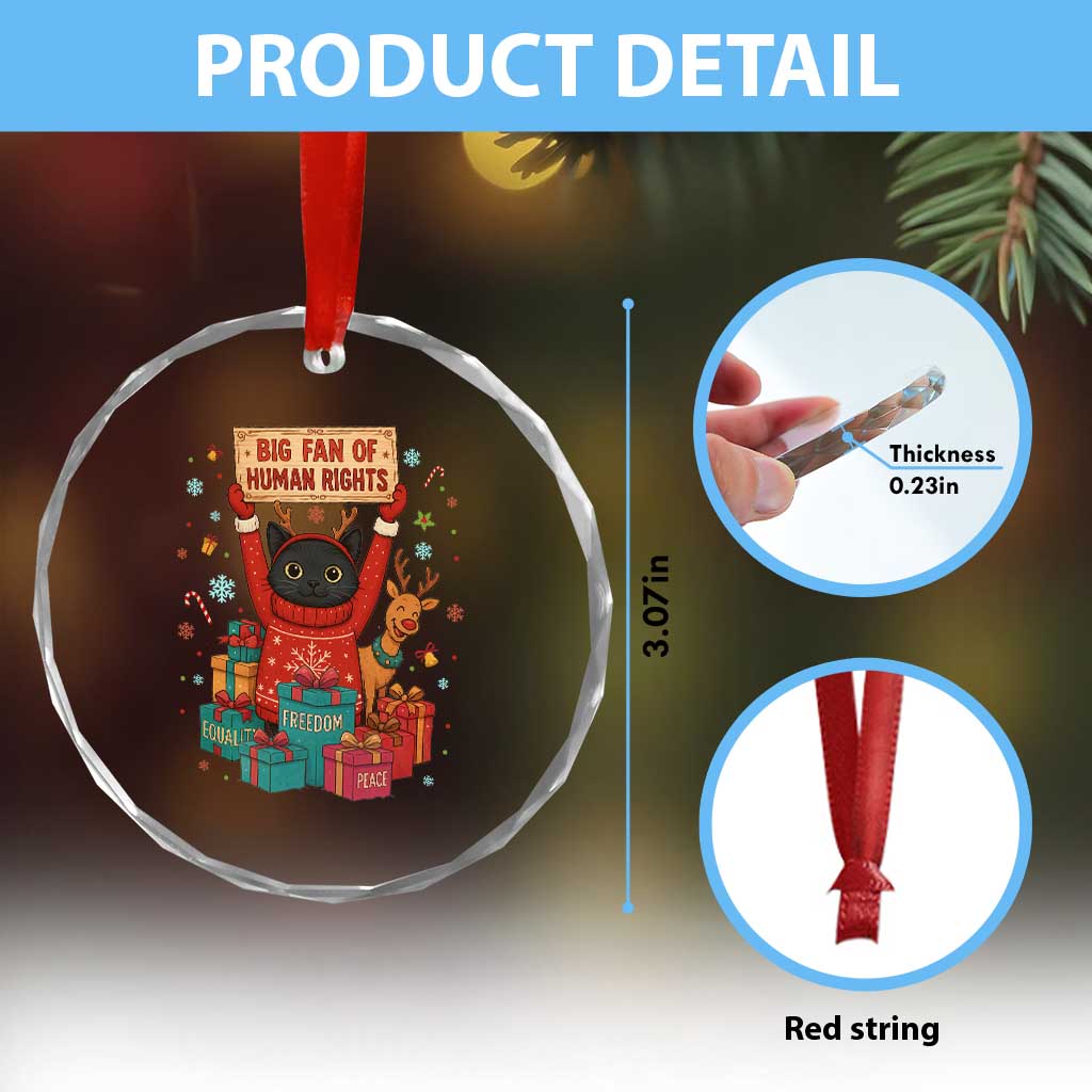 Cute Santa Cat Big Fan Of Human Rights Crystal Glass Ornament Christmas Supporters - Wonder Print Shop