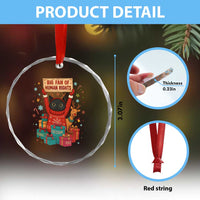 Cute Santa Cat Big Fan Of Human Rights Crystal Glass Ornament Christmas Supporters - Wonder Print Shop