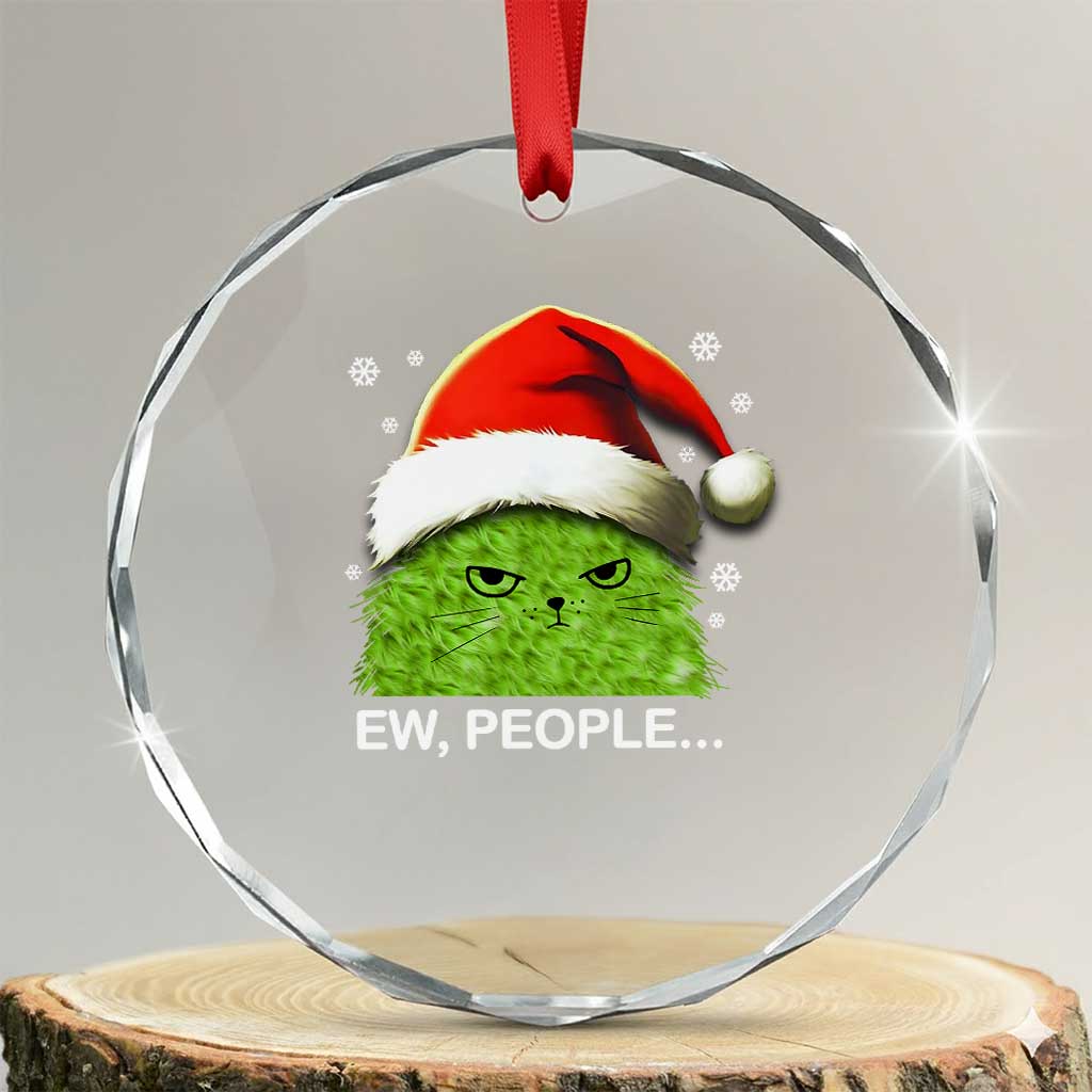 Cute Xmas Cat Crystal Glass Ornament Funny Ew People Meowy Kitten Lovers TS10