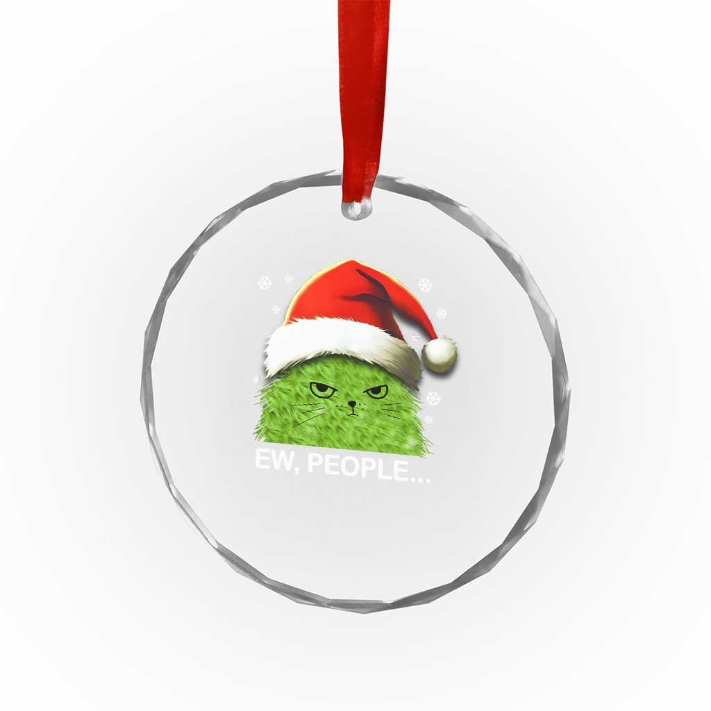 Cute Xmas Cat Crystal Glass Ornament Funny Ew People Meowy Kitten Lovers TS10