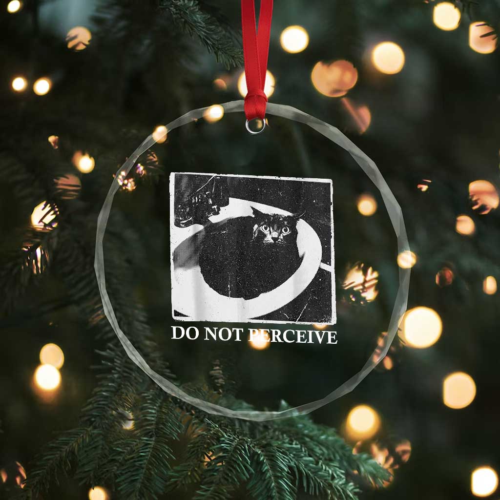 Do Not Perceive Me Funny Meme Cat Lover Crystal Glass Ornament Funny Cat Sarcstic Meme