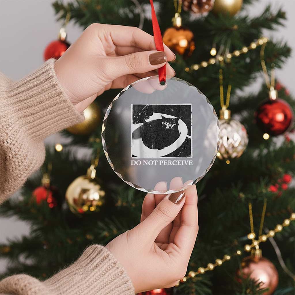 Do Not Perceive Me Funny Meme Cat Lover Crystal Glass Ornament Funny Cat Sarcstic Meme