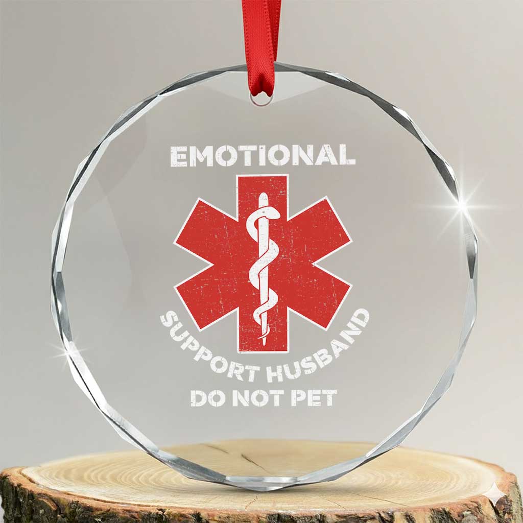 Do Not Pet Husband Crystal Glass Ornament Funny Sarcastic Saying TS10