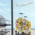 Sunflower Skull Luggage Cover She Is Sunshine Mixed With A Little Hurricane - Wonder Print Shop