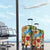 Saba Luggage Cover Geographic Coordinate Anchor - Turlte Tropical