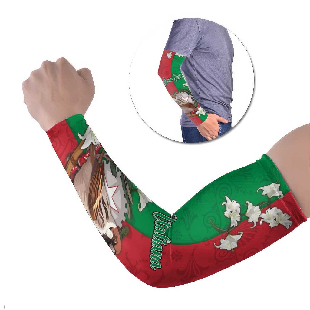 Italy Arm Sleeves Sparrow With Symbol Italiana - Wonder Print Shop