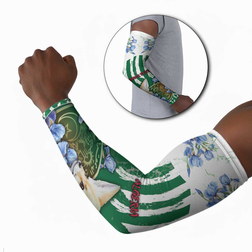 Personalized Algeria Arm Sleeves Fennec And Iris Grunge Style - Wonder Print Shop