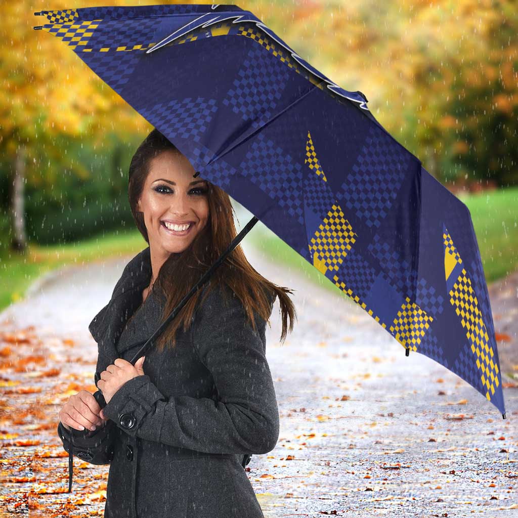 Custom Bosnia And Herzegovina Football Umbrella Fierce Dragon National Stars With Checker Patterns