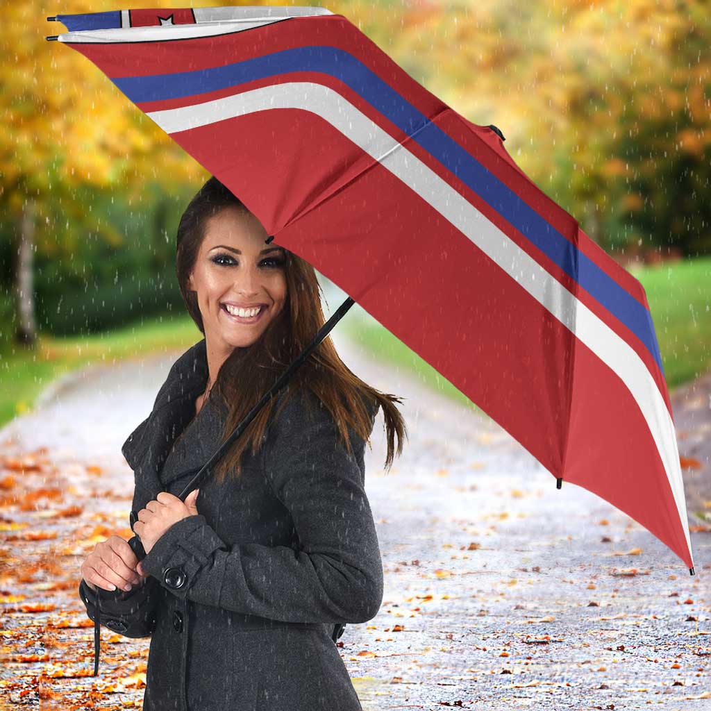 USA Ice Hockey Umbrella Stars And Stripes