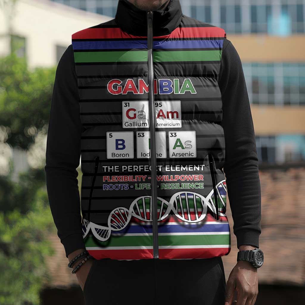 Gambia Sleeveless Puffer Jacket Perfect Periodic Element Of African - Wonder Print Shop