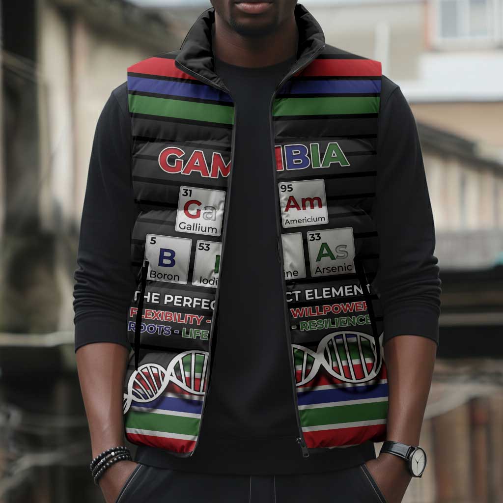 Gambia Sleeveless Puffer Jacket Perfect Periodic Element Of African - Wonder Print Shop