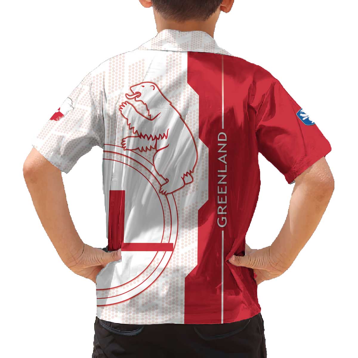 Greenland Family Matching Off The Shoulder Long Sleeve Dress and Hawaiian Shirt Coat Of Arms Unique Style