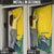 Personalized Brazil Door Cover Toco Toucan Tropical Vibes - Wonder Print Shop