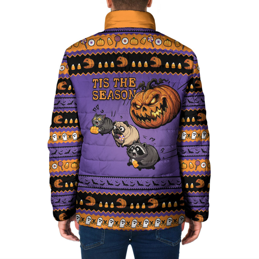 Halloween Animal Funny Padded Jacket Short Spine Do Crime Spooky Pumpkin Chase