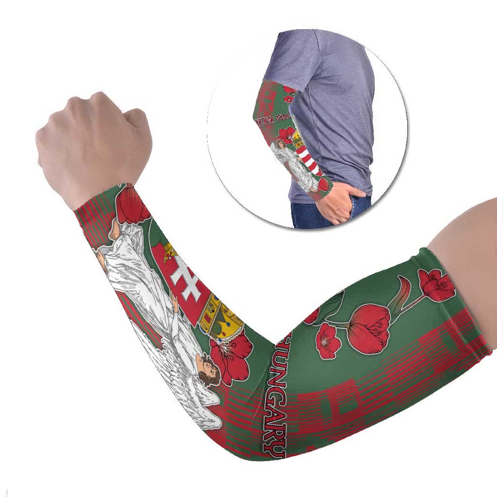 Hungary Arm Sleeves Coat Of Arms 1896 - Wonder Print Shop