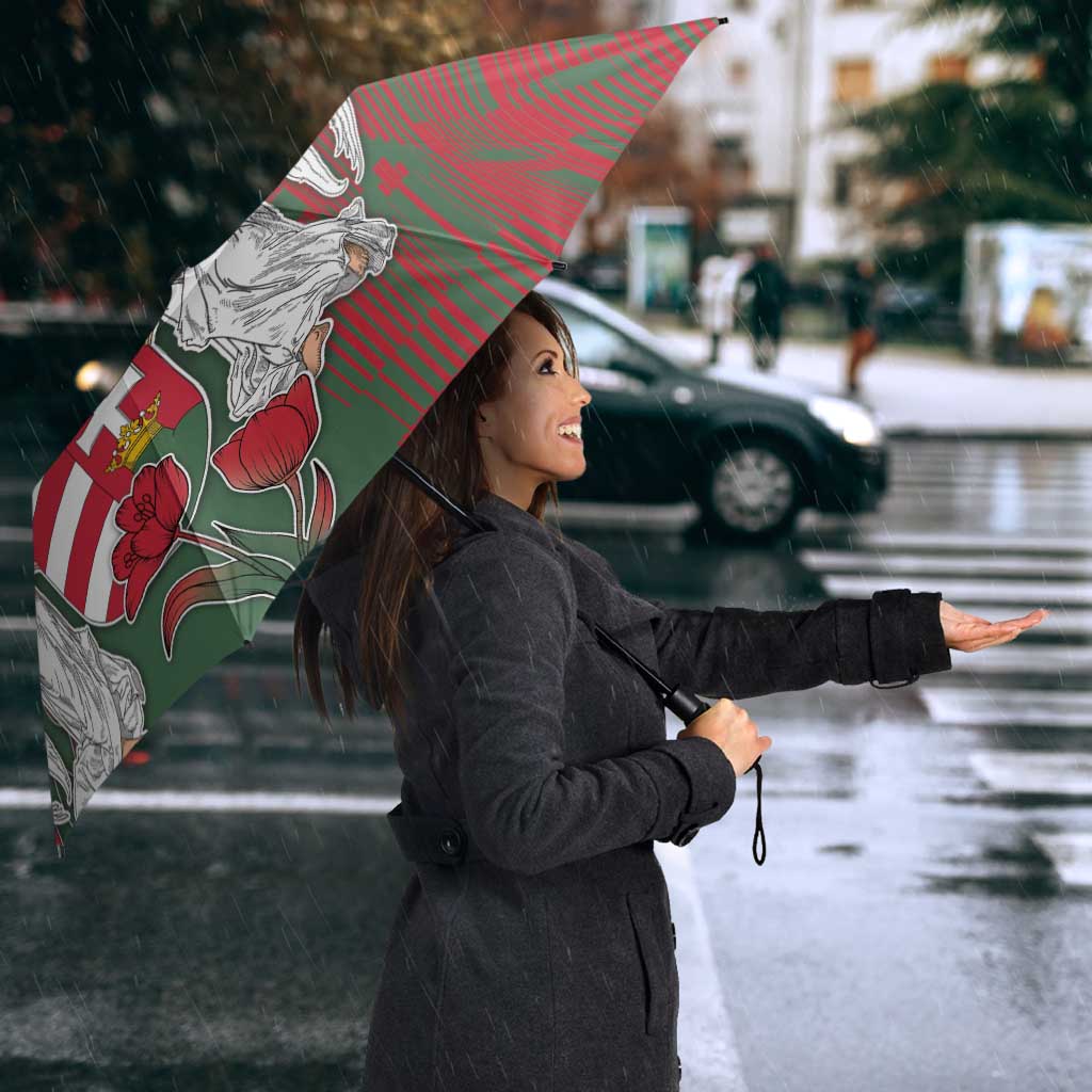 Hungary Umbrella Coat Of Arms 1896 - Wonder Print Shop