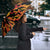 Montenegro Umbrella Coat Of Arms Fire Style - Wonder Print Shop