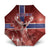 Norway Umbrella The Moose With Saxifrage Flowers Galaxy Style - Wonder Print Shop