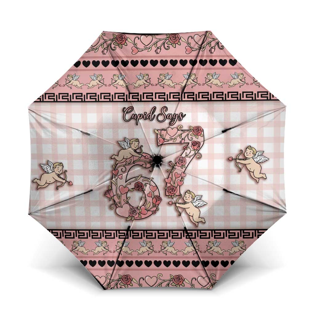 67 Valentine's Day Umbrella Vintage Rose And Cupid
