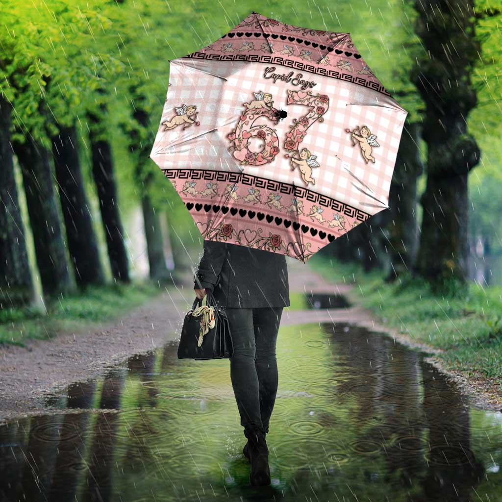 67 Valentine's Day Umbrella Vintage Rose And Cupid