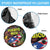 Puerto Rico Spare Tire Cover The Coqui Frog Tropical Doodle Style - Wonder Print Shop