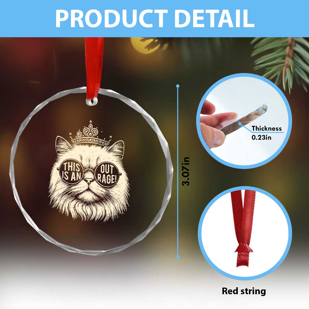 Dungeon Cat This Is An Outrage Crystal Glass Ornament Funny Princess Kitten - Wonder Print Shop
