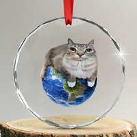 Earth Cat Silly Cat Meme Crystal Glass Ornament