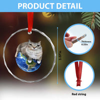 Earth Cat Silly Cat Meme Crystal Glass Ornament