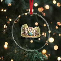 Earth Day Cat Lover Crystal Glass Ornament Paws For The Planet