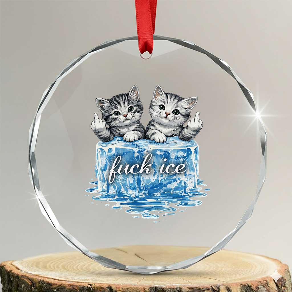 Fck Ice Crystal Glass Ornament Cute Cat Melting Ice Pro Immigrant