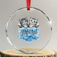 Fck Ice Crystal Glass Ornament Cute Cat Melting Ice Pro Immigrant
