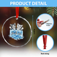Fck Ice Crystal Glass Ornament Cute Cat Melting Ice Pro Immigrant