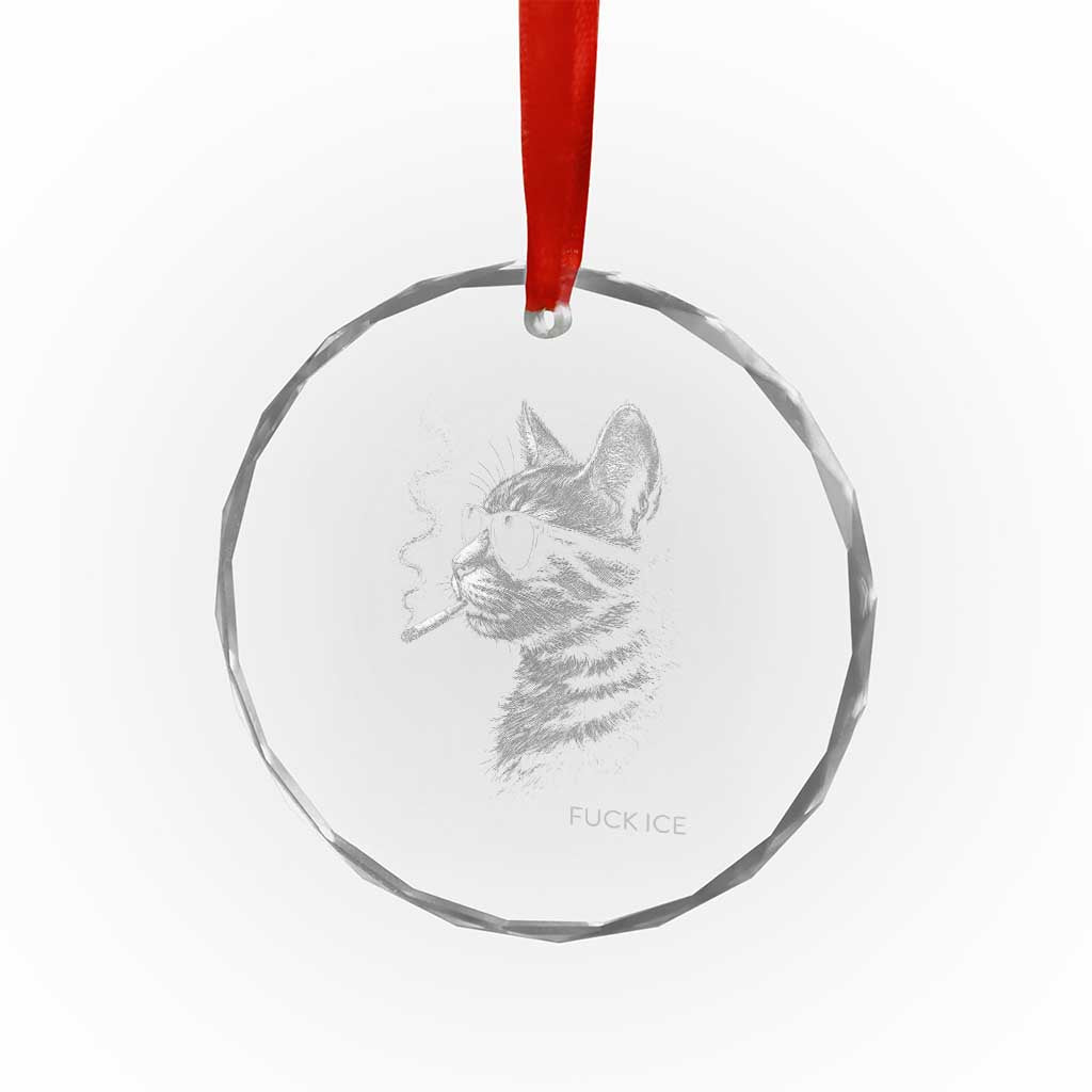 Fck Ice Crystal Glass Ornament Funny Cat  Smoking Anti ICE Meme