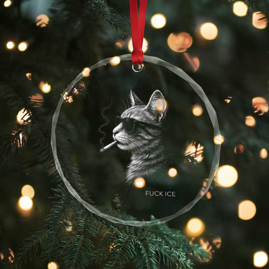Fck Ice Crystal Glass Ornament Funny Cat  Smoking Anti ICE Meme