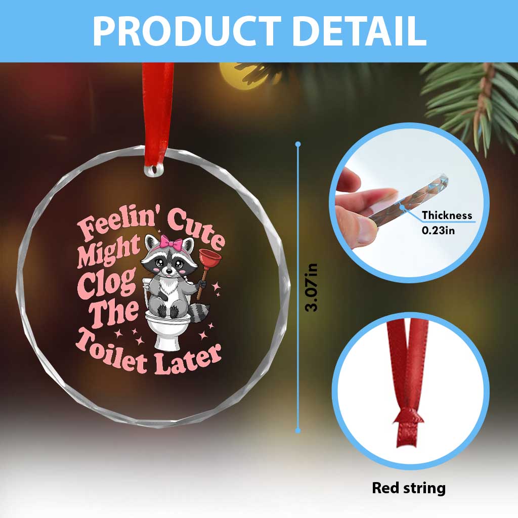 Feeling Cute Might Clog Toilet Later Crystal Glass Ornament Funny Raccoon
