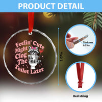 Feeling Cute Might Clog Toilet Later Crystal Glass Ornament Funny Raccoon