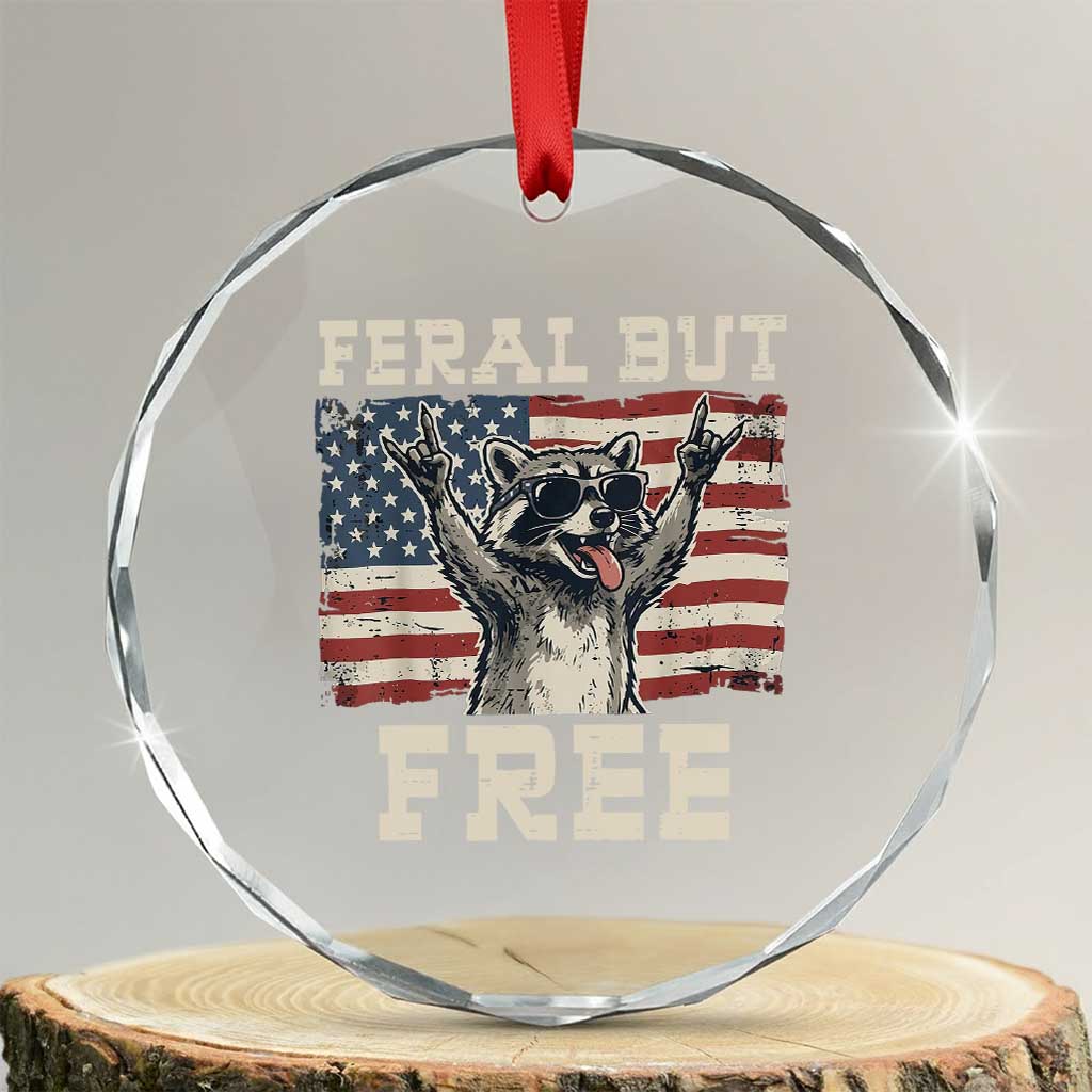 Feral But Free Funny Raccoon Patriotic Crystal Glass Ornament Cool American Flag Sunglasses Rock On Hand Signs Vintage USA Flag