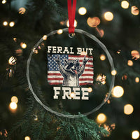 Feral But Free Funny Raccoon Patriotic Crystal Glass Ornament Cool American Flag Sunglasses Rock On Hand Signs Vintage USA Flag