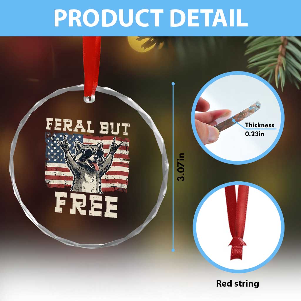 Feral But Free Funny Raccoon Patriotic Crystal Glass Ornament Cool American Flag Sunglasses Rock On Hand Signs Vintage USA Flag