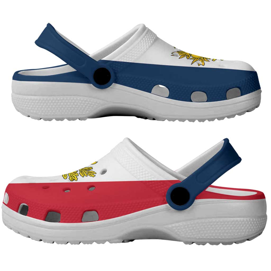 France Clogs Shoes Flag Color Inspiration - Wonder Print Shop