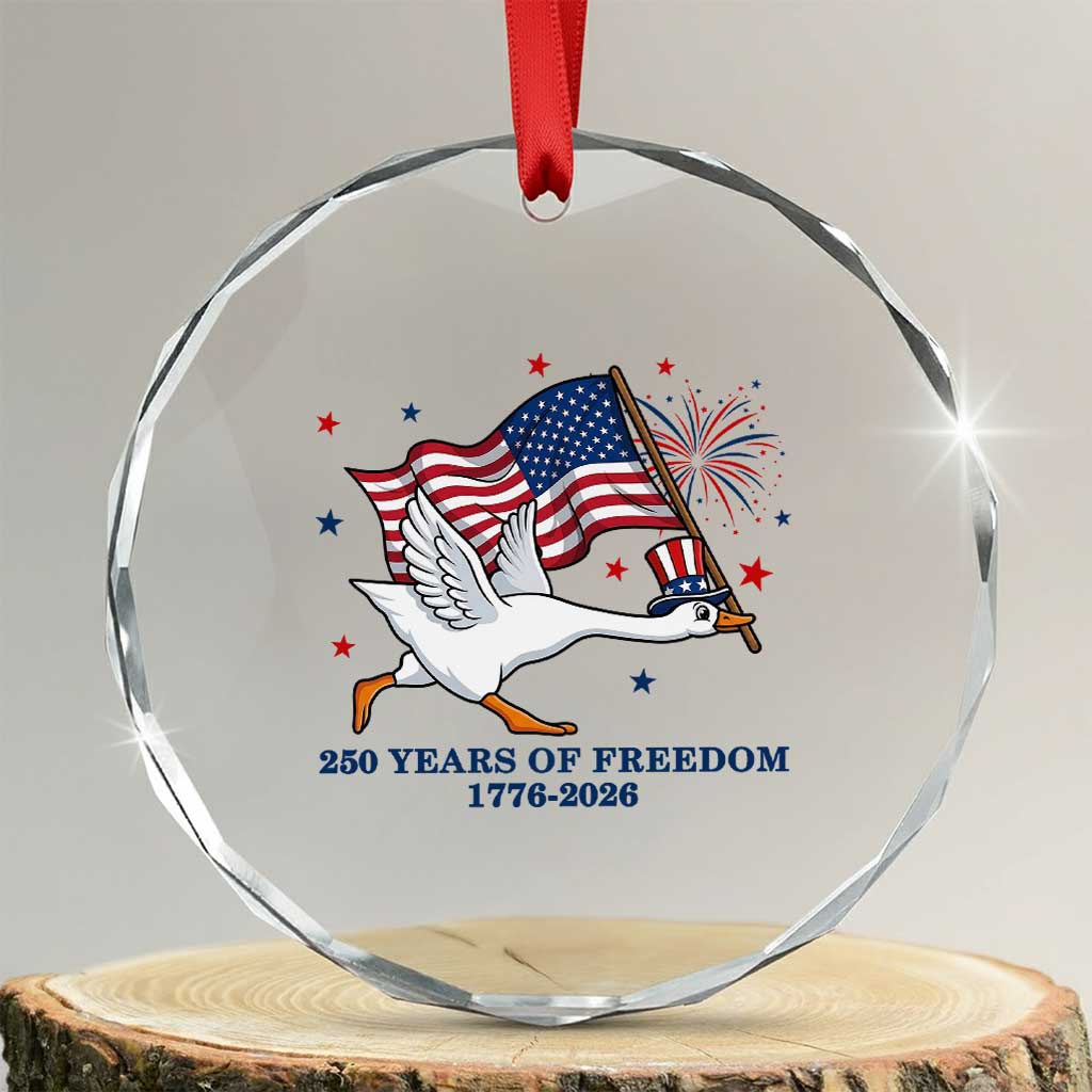 Freedom 250th Anniversary Crystal Glass Ornament Funny 4th Of July Silly Goose